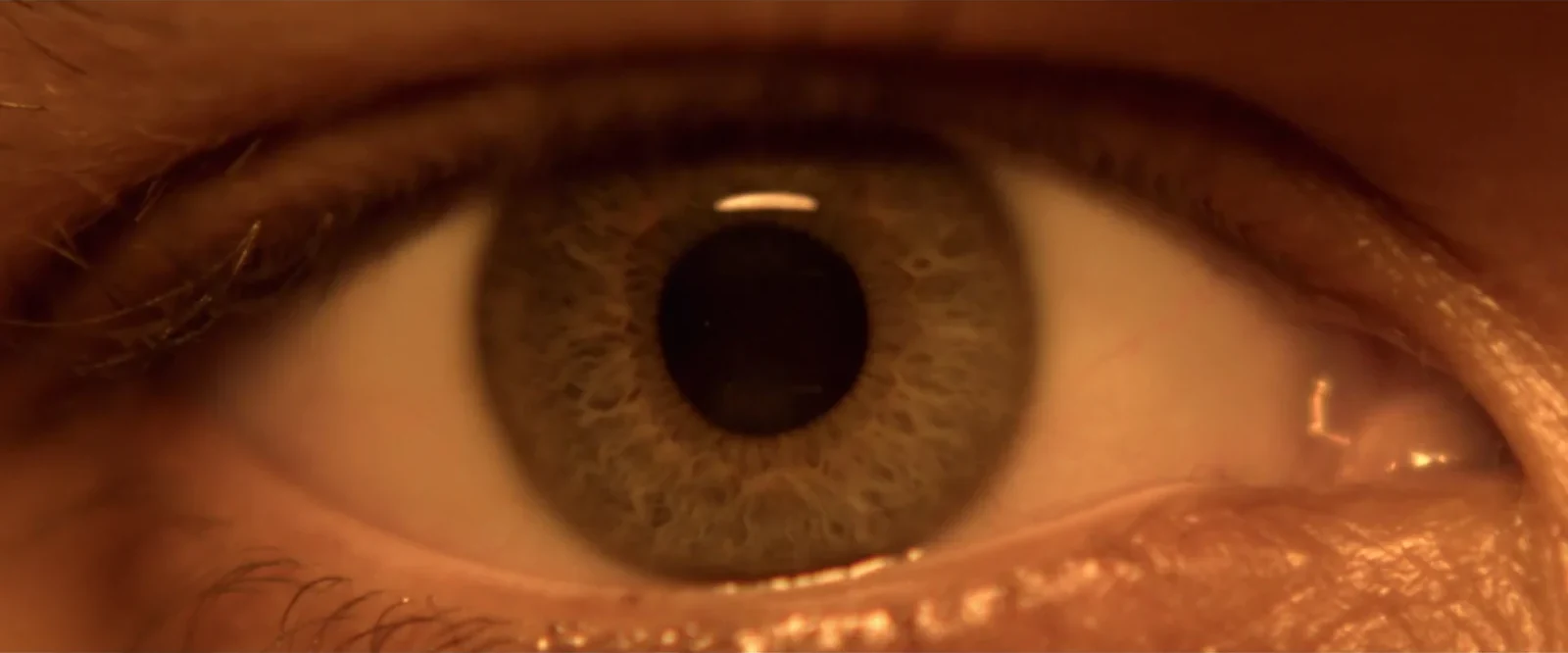 Film Showreel — still